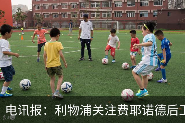 电讯报：利物浦关注费耶诺德后卫海特勒伊达